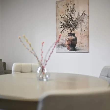 公寓 Tia 扎达尔