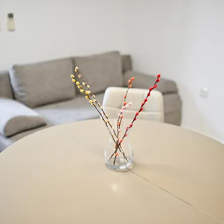 公寓 Tia 扎达尔